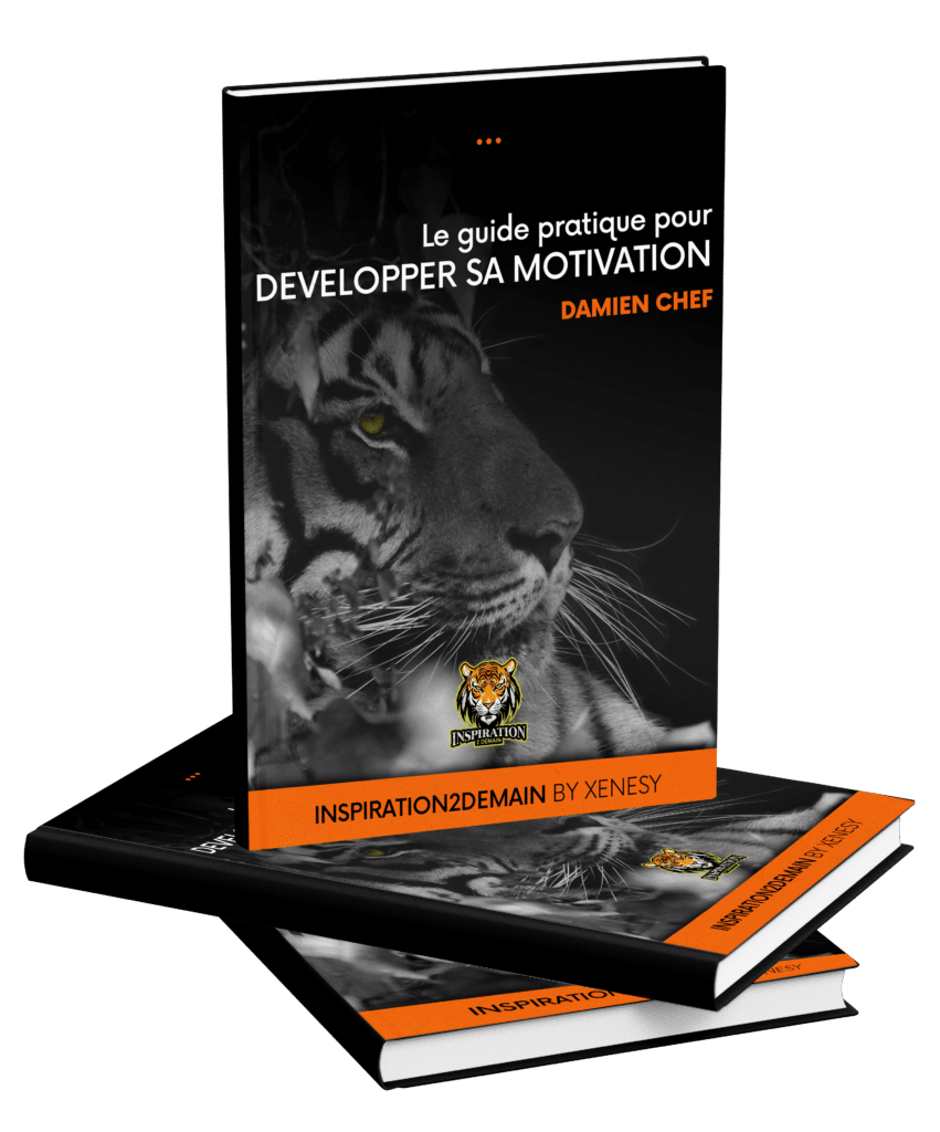 培训激励书籍指南 inspiration2demain by xenesy