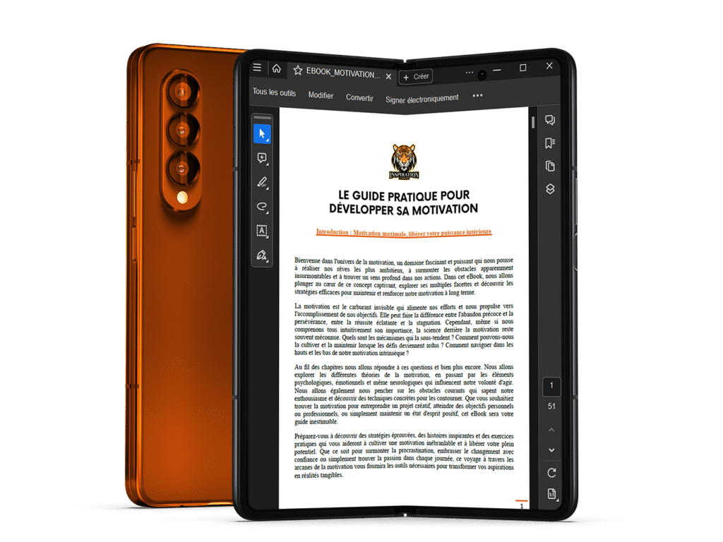 培训激励书籍指南 inspiration2demain by xenesy