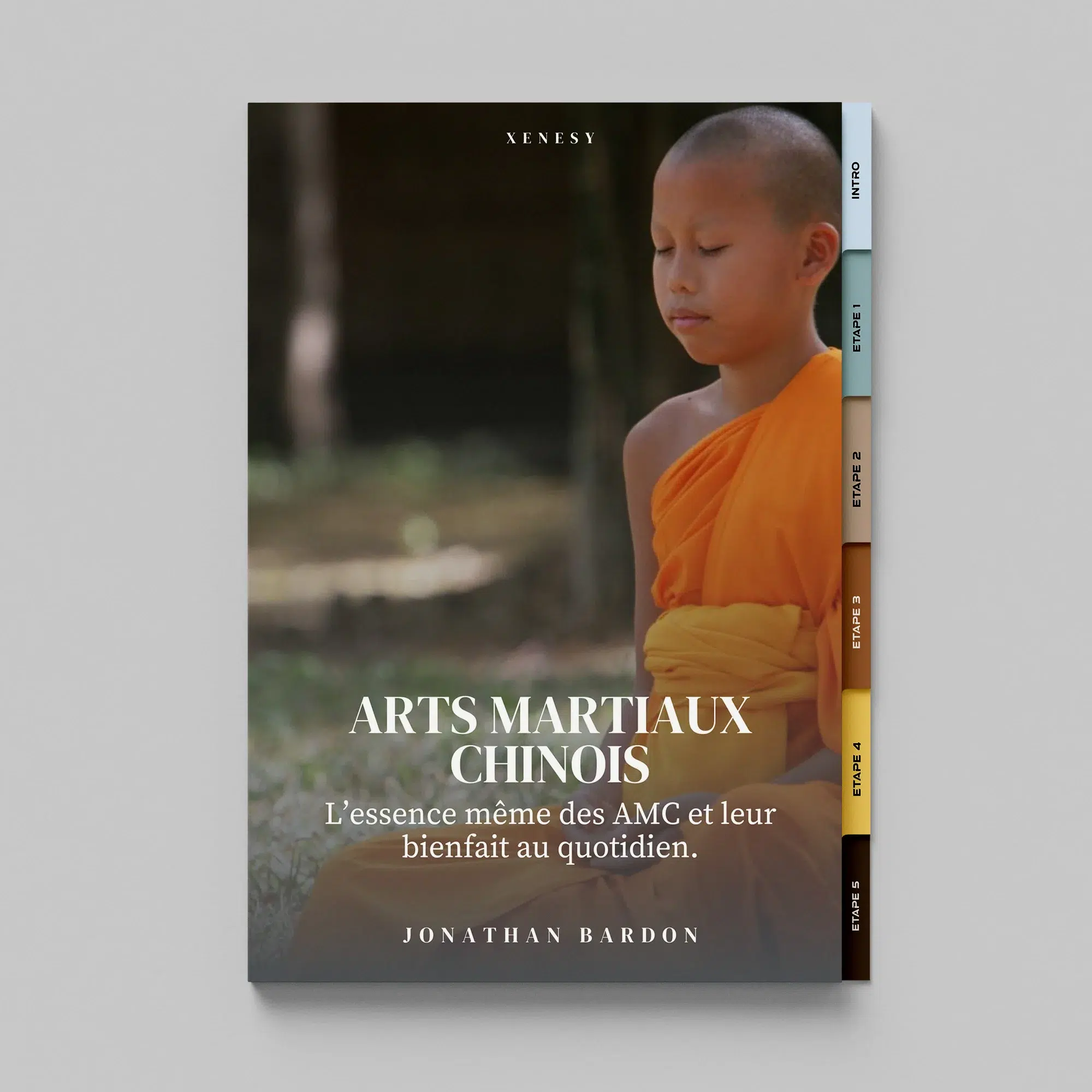 cours en ligne sur les arts martiaux chinois