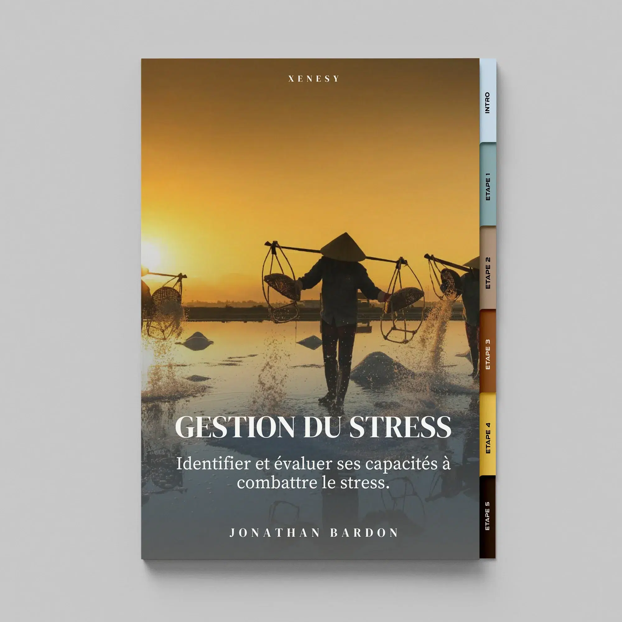 mini cours en ligne sur la gestion du stress